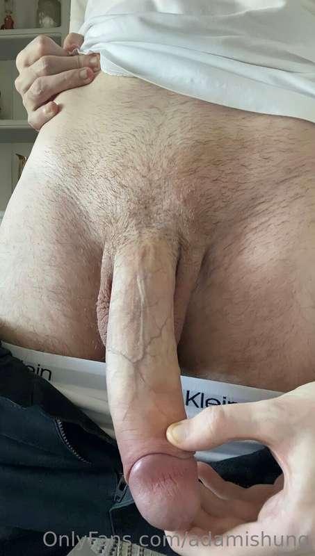 adamishung image #1