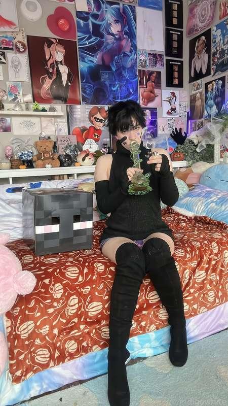 indigowhite image #36