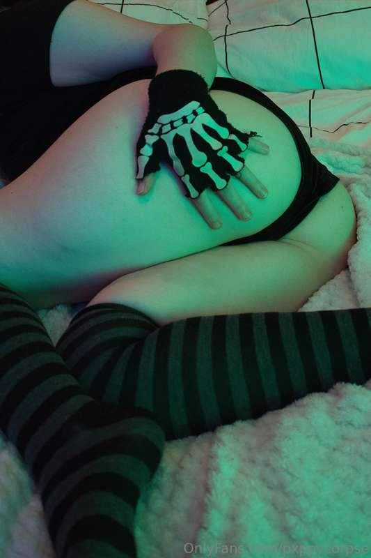pxppycorpse main image