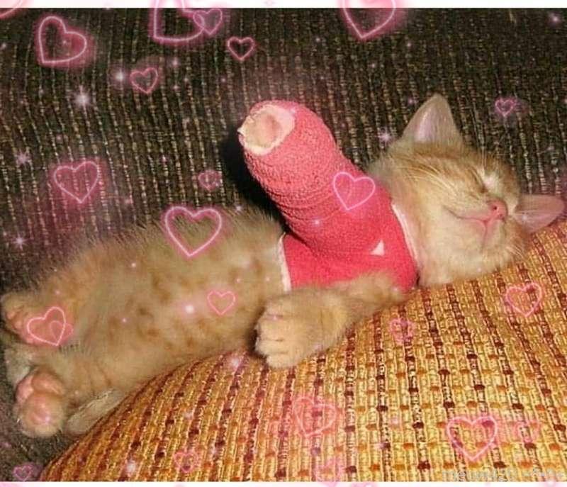 Was dealing with some health related issues but will be back..