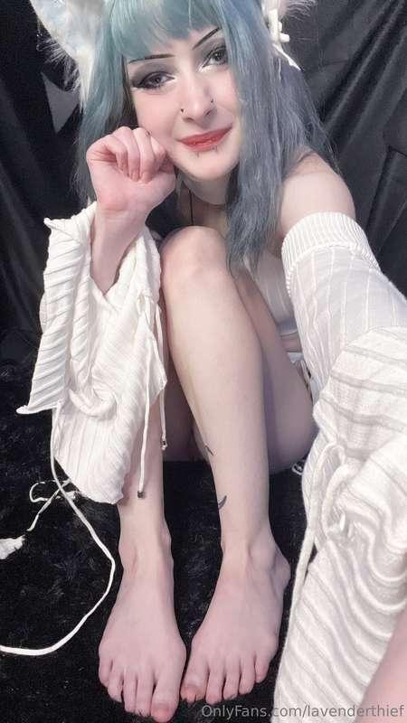 come give this lil sex kitten some attention 😻