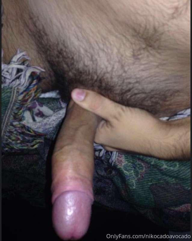 nikocadoavocado main image