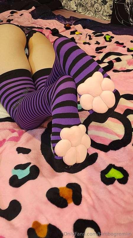 If you want more paw content I can Glady do customs! Feel fr..