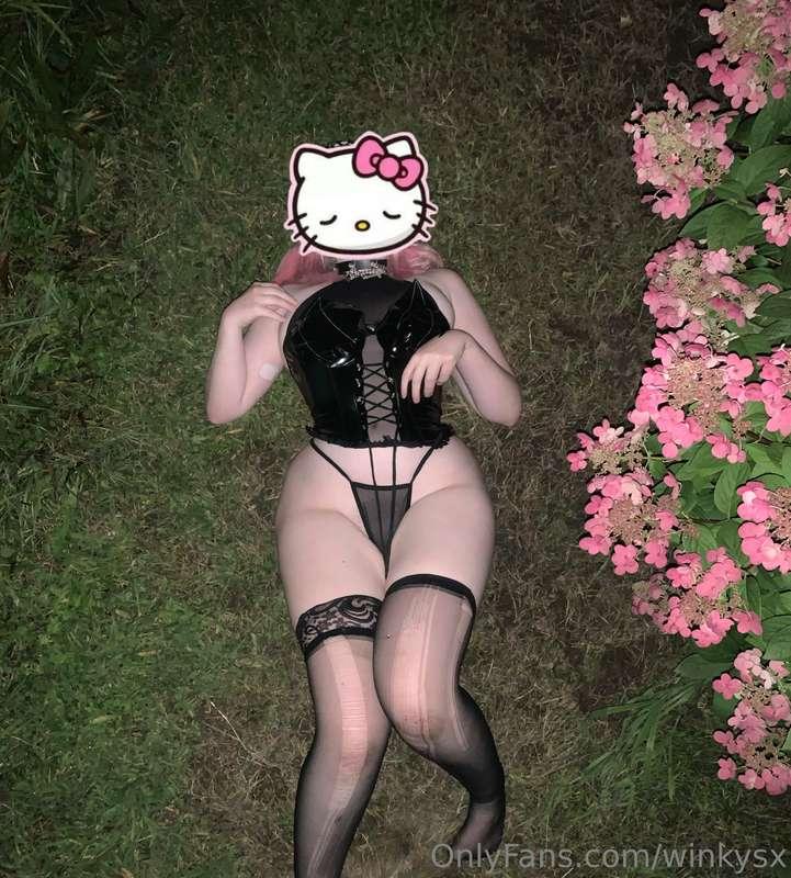 /)  /)
ପ(˶•-•˶)ଓ ♡
   /づ  づ tried to pose but I just look li..