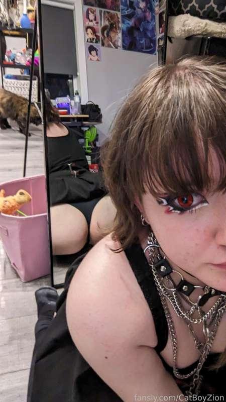 catboyzion image #25