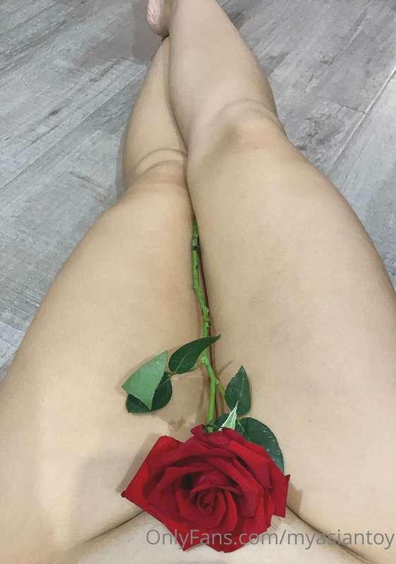 Guess what part I like to get cum the most?