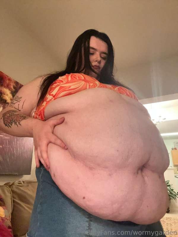 wormygarden image #3