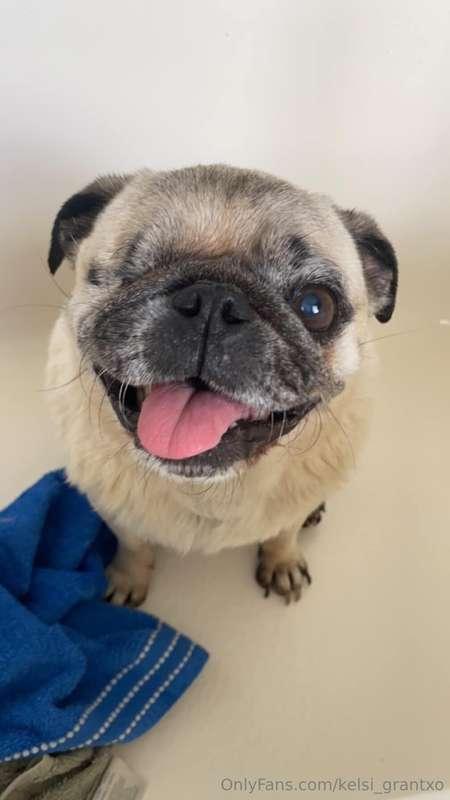 I rescued our sweet Daisy about four years ago. She had to h..