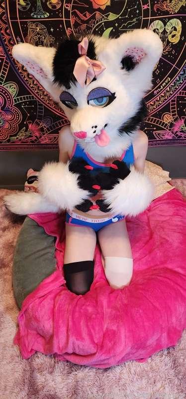 the_fluff_nextdoor image #2