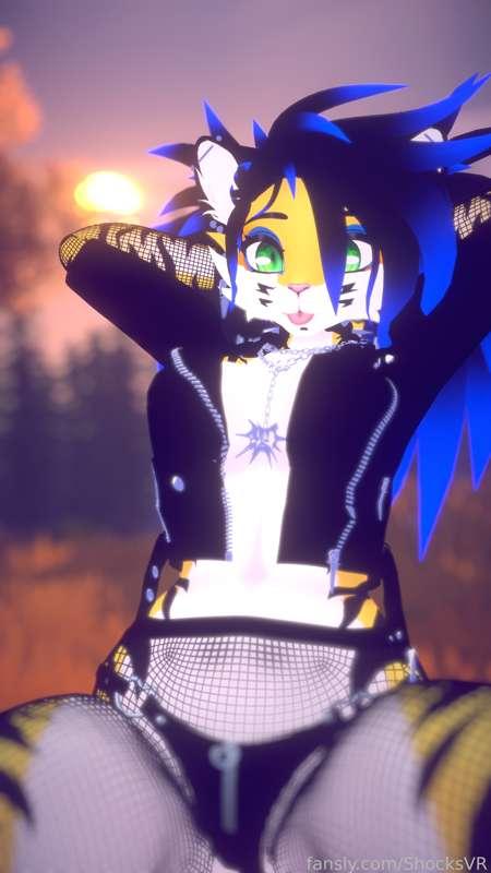 shocksvr image #1