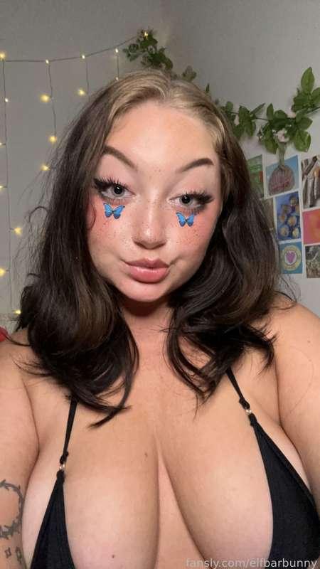 elfbarbunny image #1