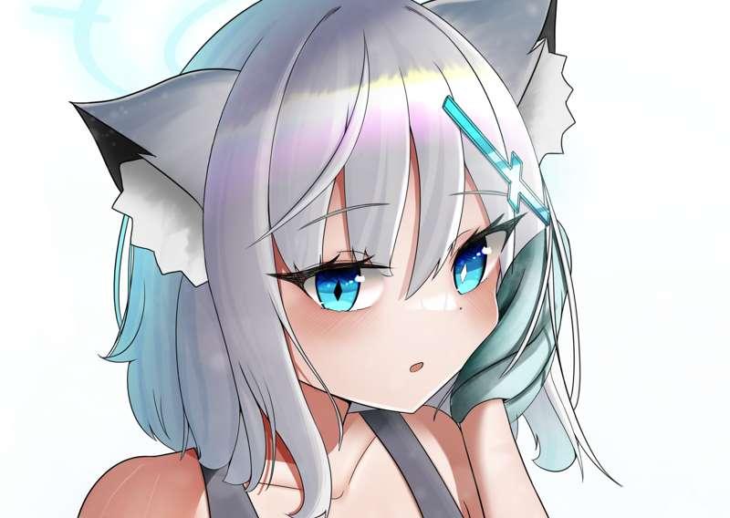 Shiroko swimsuit! T2+
