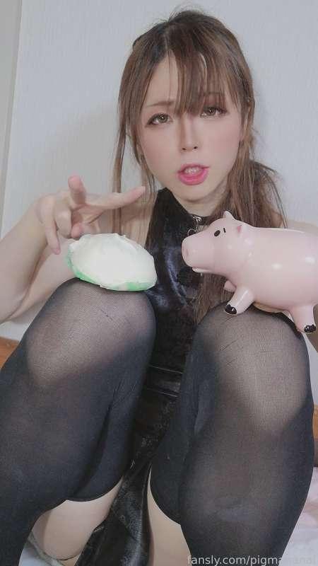 pigmananal image #2