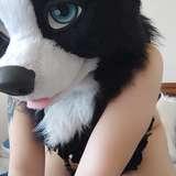 naughtycolliead