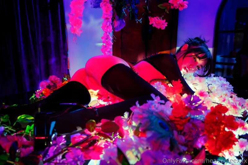 my favorite shoot i’ve ever done 💗 tip me anything for a few..