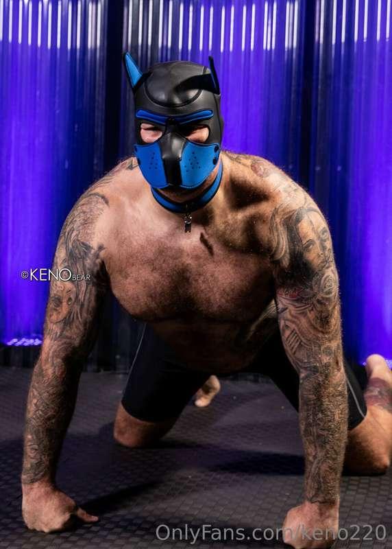 keno220 image #6