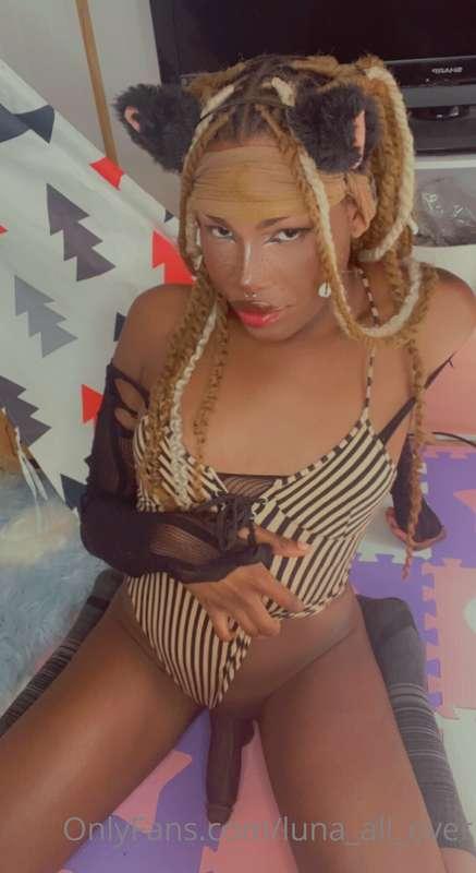 luna_all_over image #1