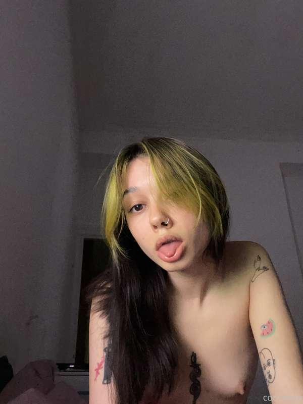 coconeyx image #0