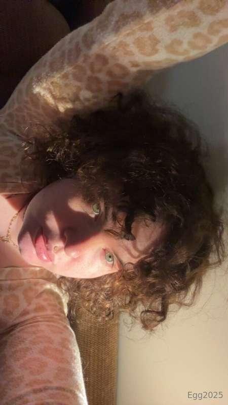 therealegg2025 image #0