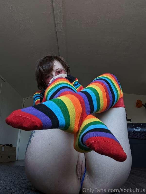 sockubus image #12