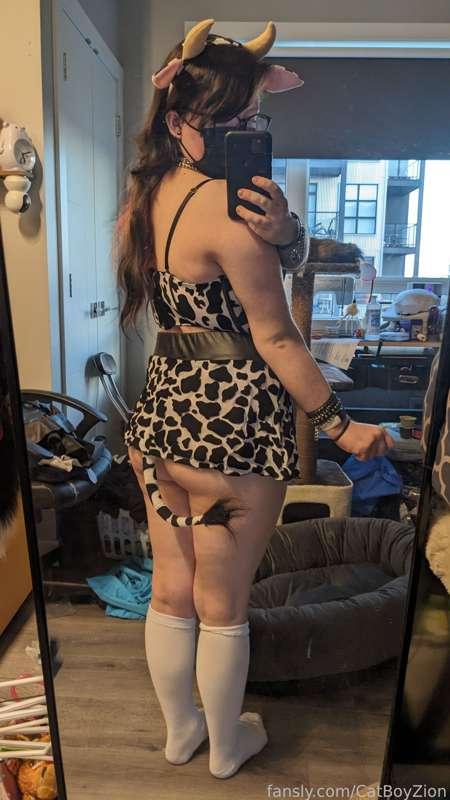 catboyzion image #8