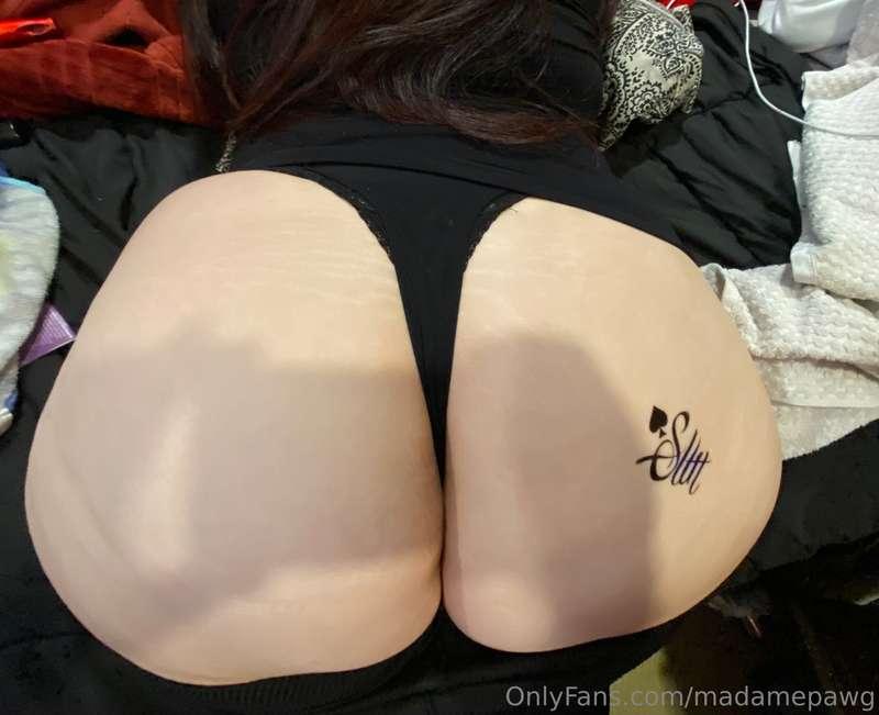 madamepawg image #23