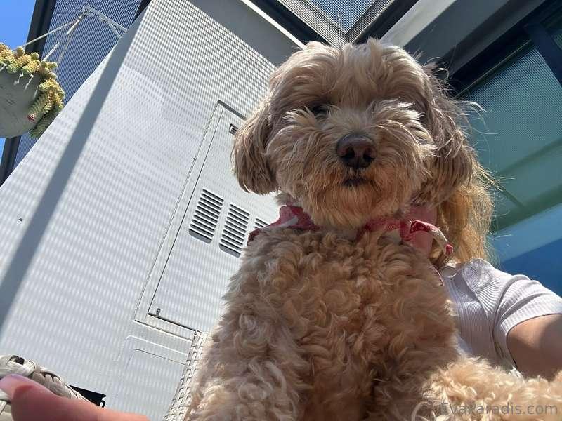 Lolo wants to say hello to all my friends on here! Give her ..