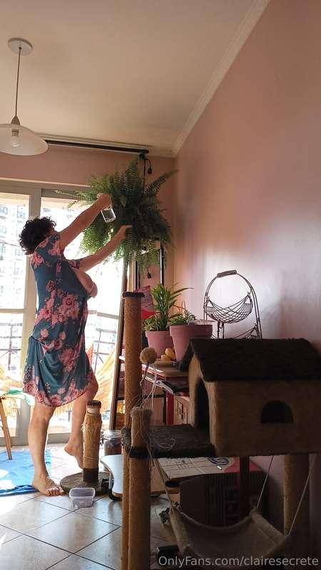 Oh my plants 🪴 😆