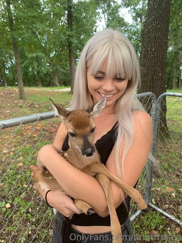 Bb deer 🦌