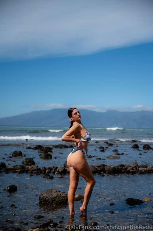 showmethemoni image #5