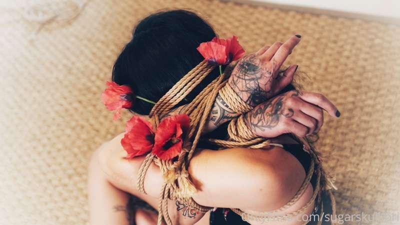 sugarskull.bri image #4