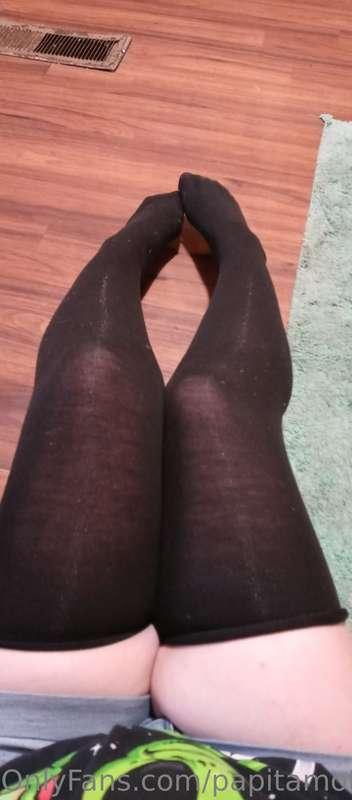 papitamothwing image #0