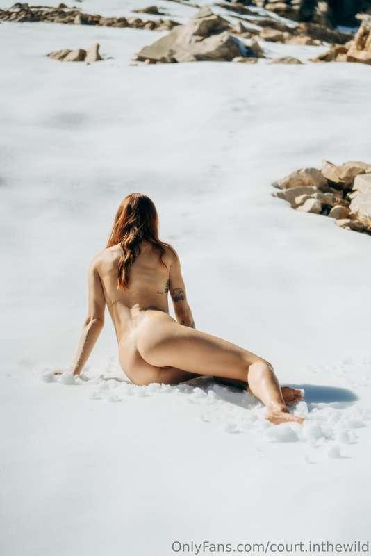 court.inthewild image #1