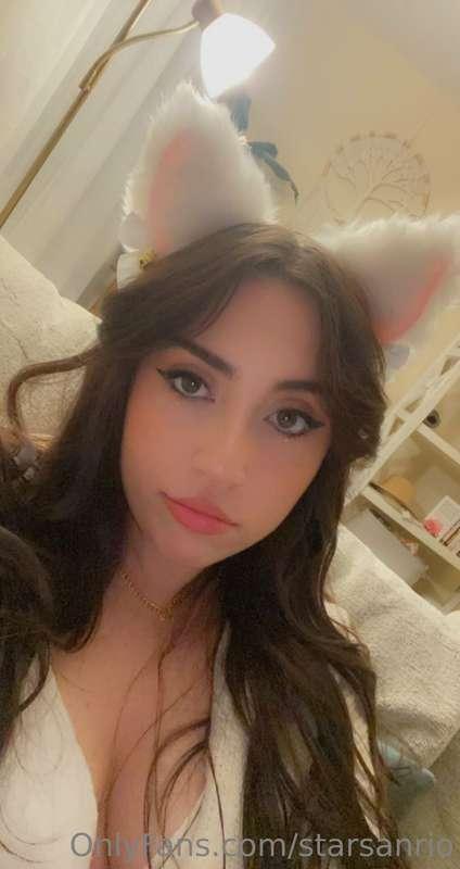 could use some company
