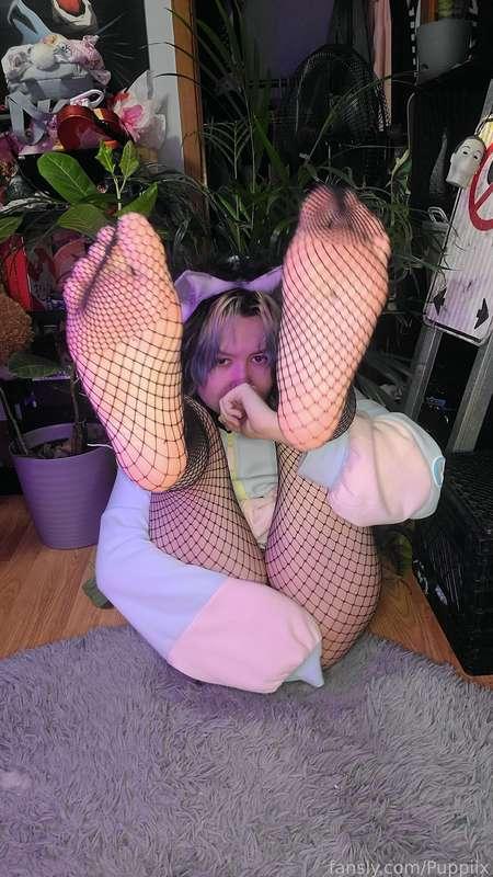 puppiix image #2