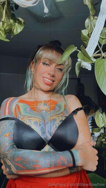 littlewillowfree image #3