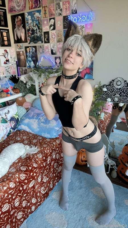 indigowhite image #45