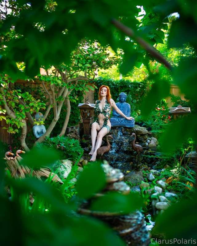 claruspolaris image #0