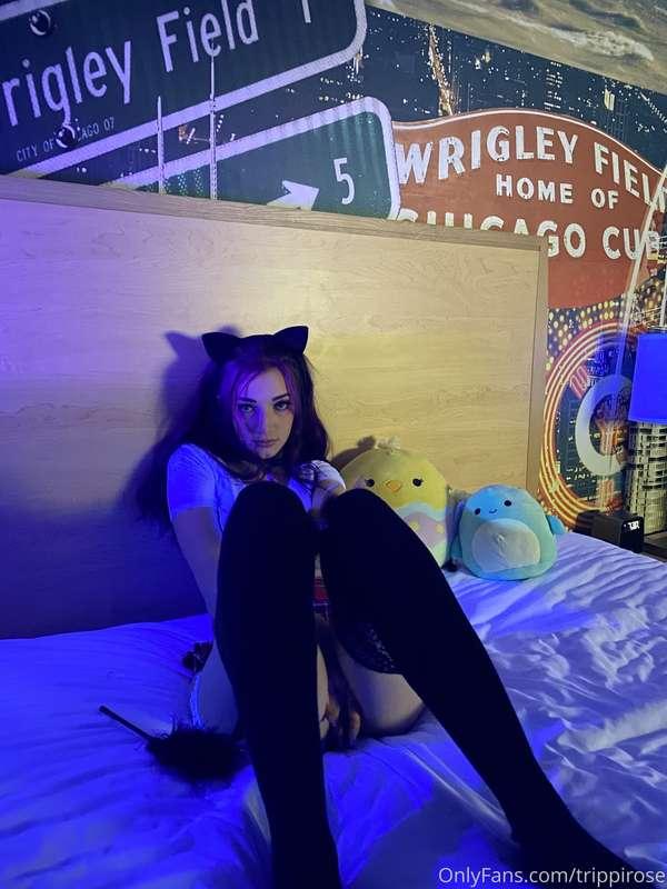 please fuck me daddy