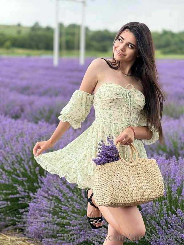 Did you know about the existence of a lavender field? I have..