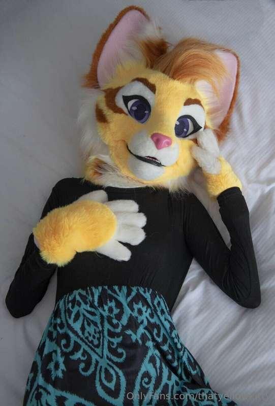 What are you thinking about? 