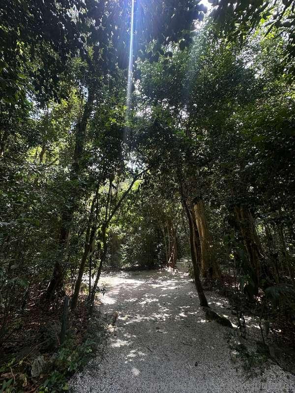 glowupgetter image #0