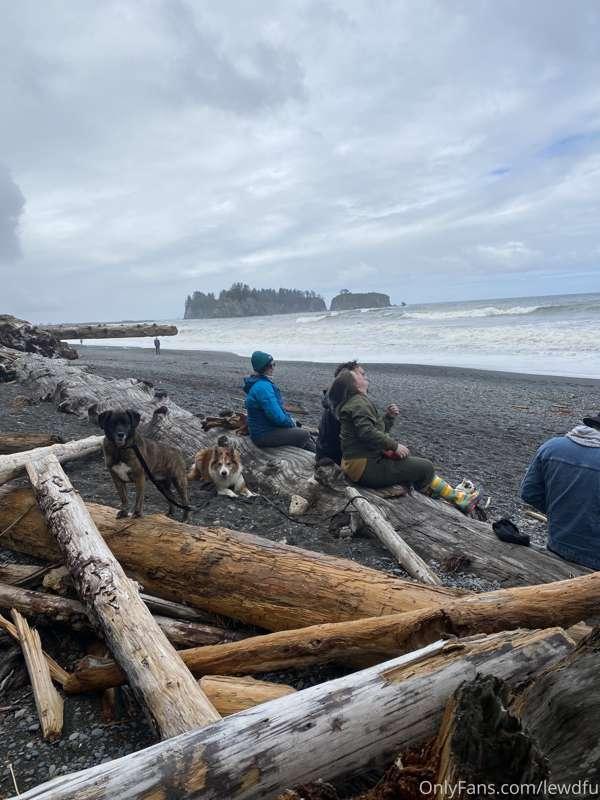 catscosplays image #3