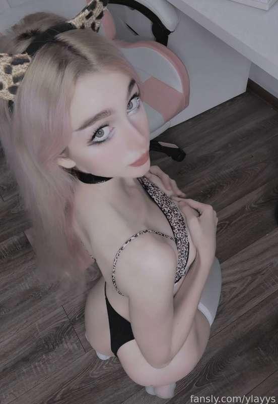 cupidbunny image #4