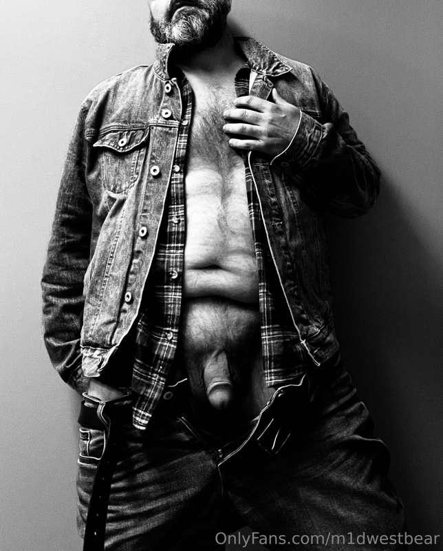 m1dwestbear image #1