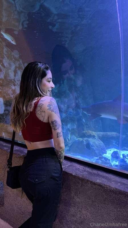 Just here making friends with the fishies 🐠💕 Do you think th..
