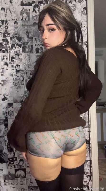 petmimi image #2