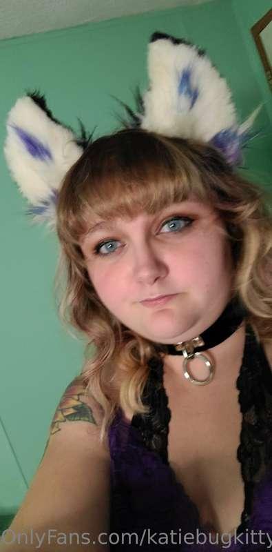 katiebugkitty122 image #34