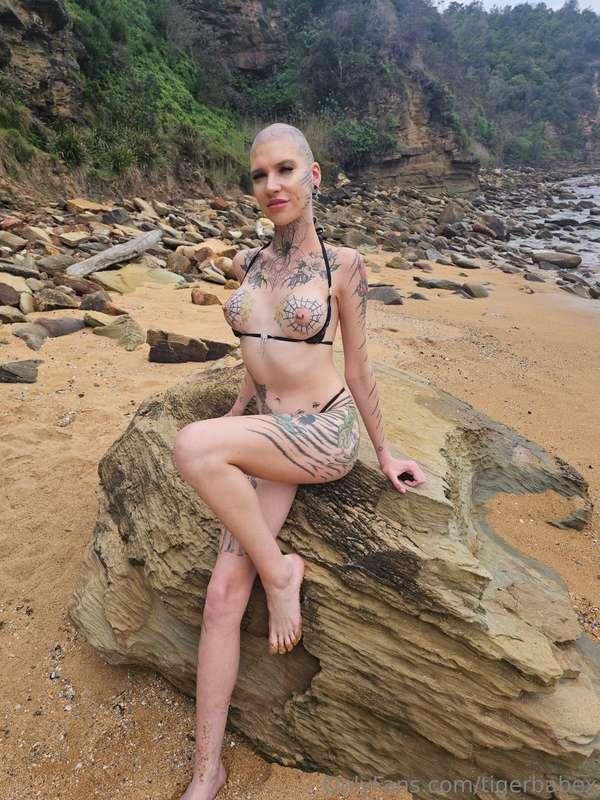 tigerbabex image #1