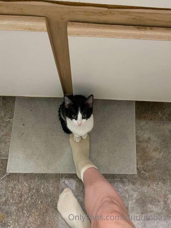 😸